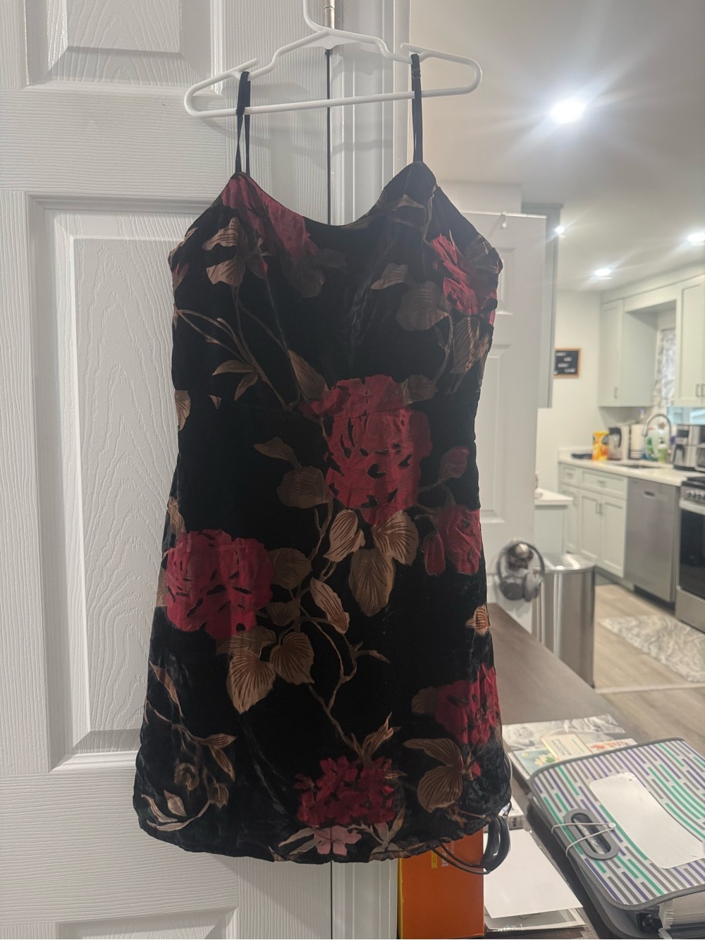 Lush Black Velvet Mini Dress with Red and Brown Floral Print